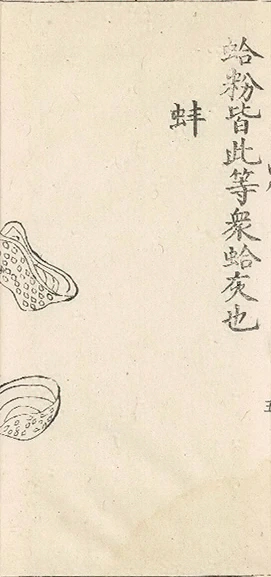 插图
