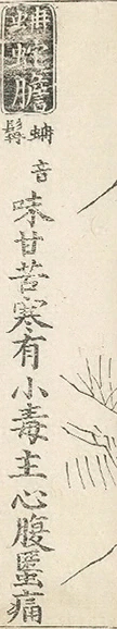插图