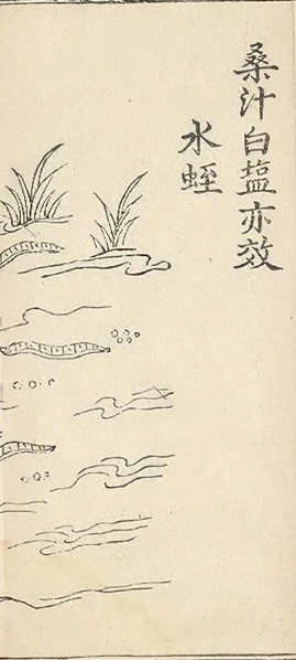 插图