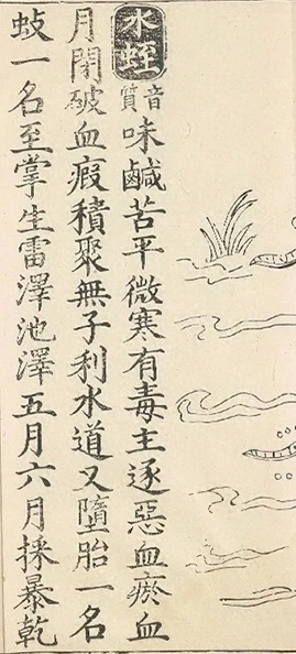 插图