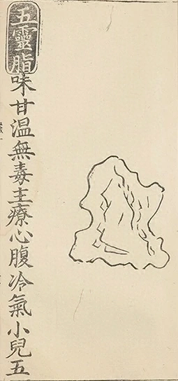 插图