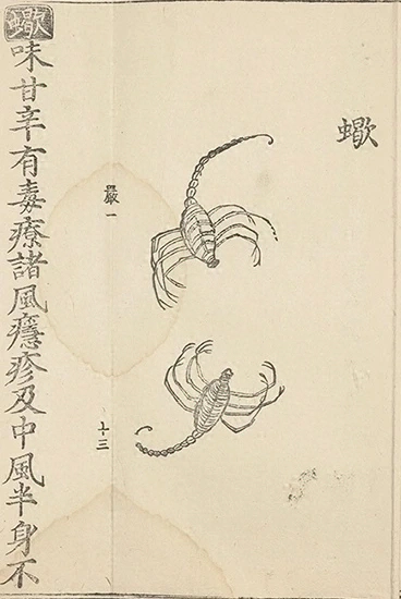 插图