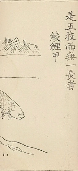 插图
