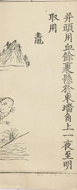 插图