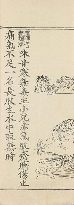 插图