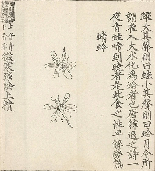 插图