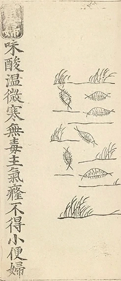 插图
