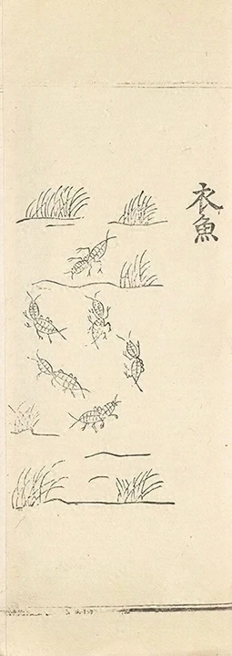 插图