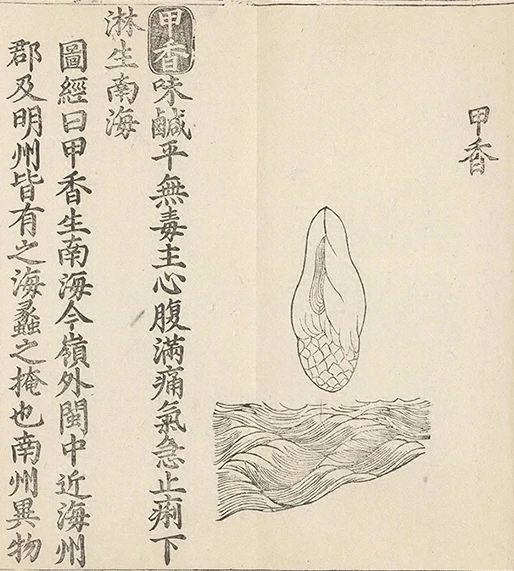 插图