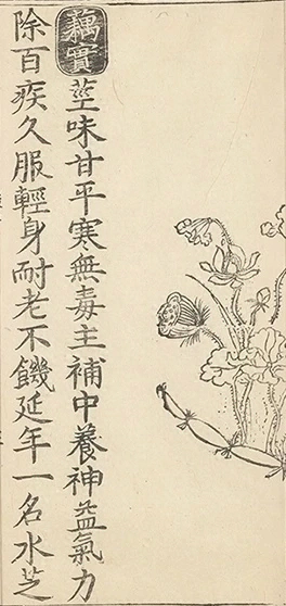 插图