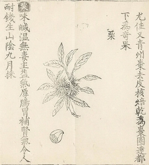 插图