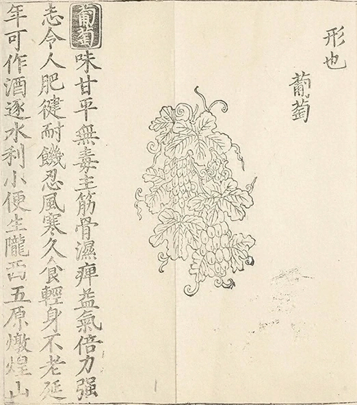 插图