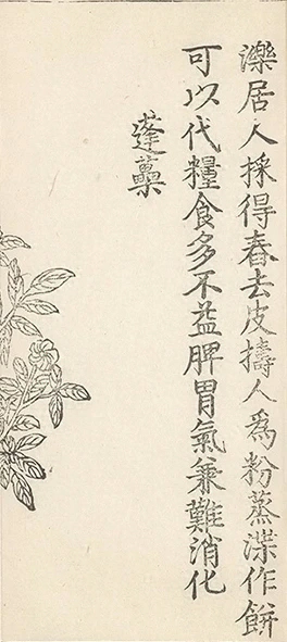 插图
