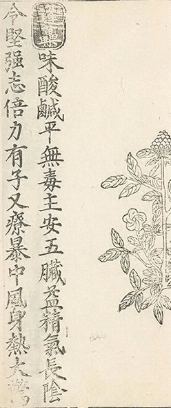 插图