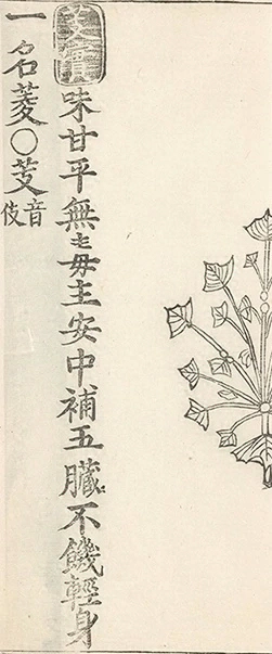 插图