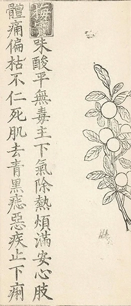 插图