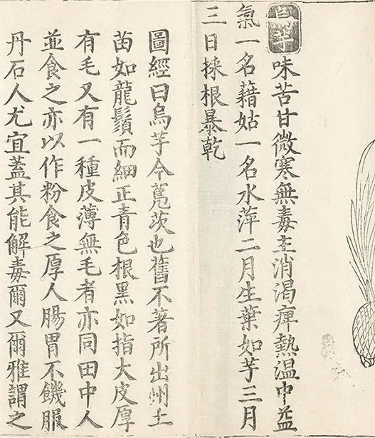 插图