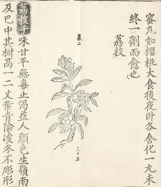 插图
