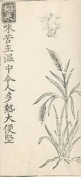 插图