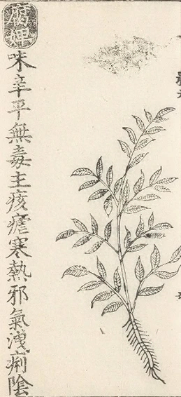 插图