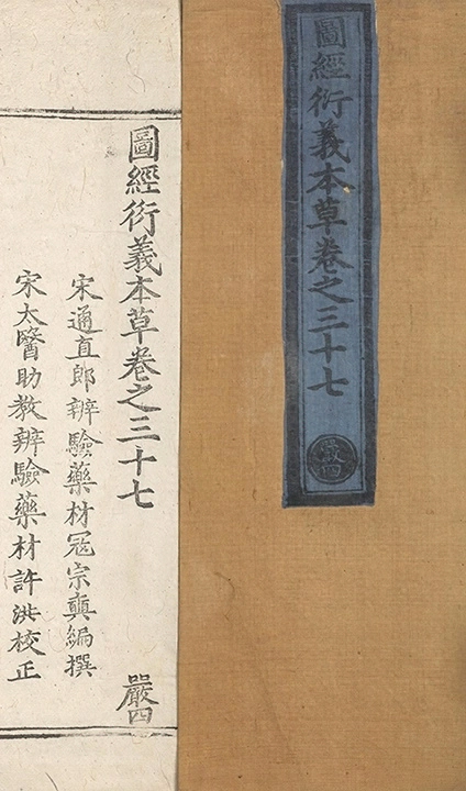 第 4538 页