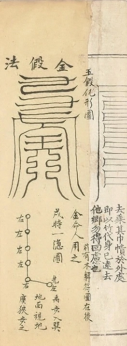 插图