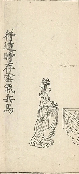 插图