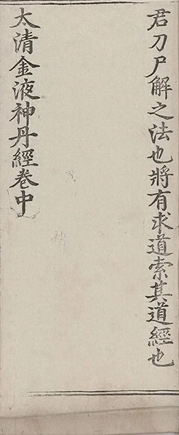 插图