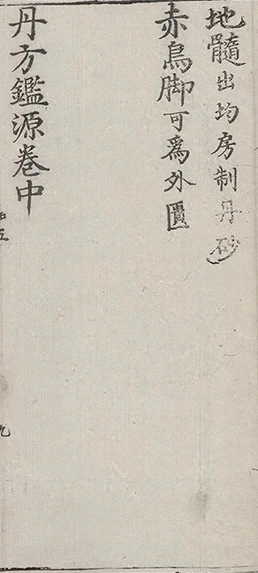 插图