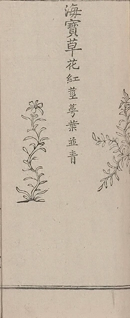 插图