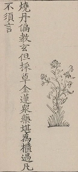 插图