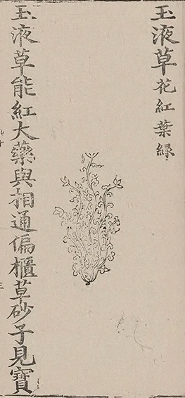 插图
