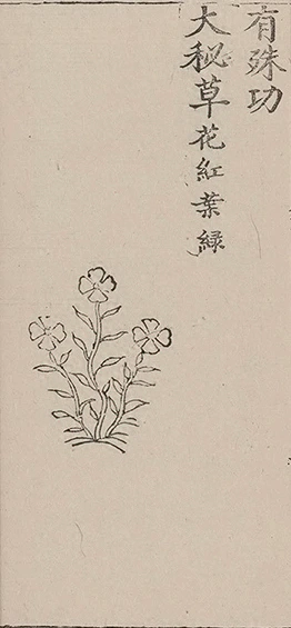 插图