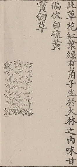 插图
