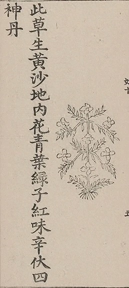 插图