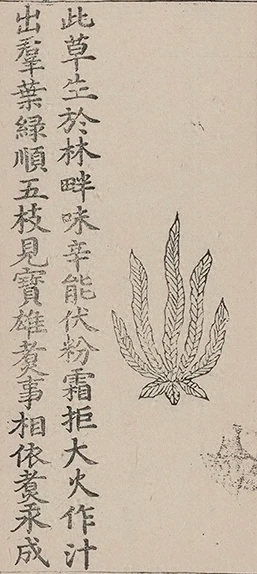 插图