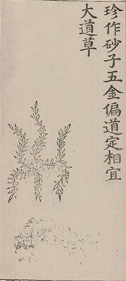 插图