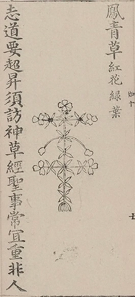 插图