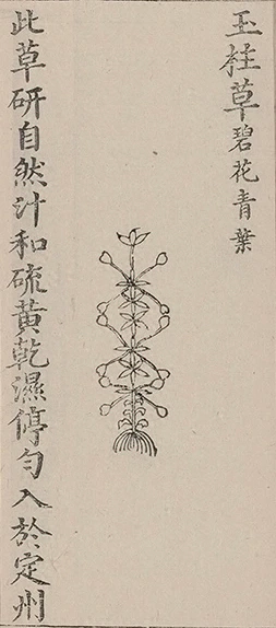 插图