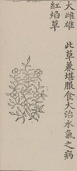 插图