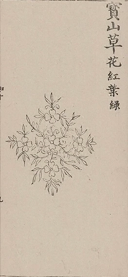 插图