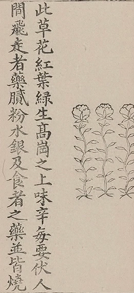 插图
