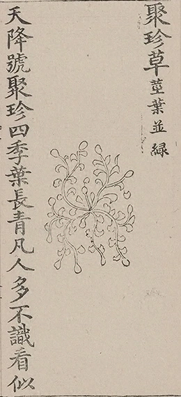 插图
