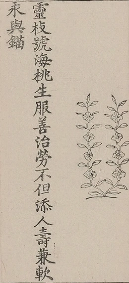 插图