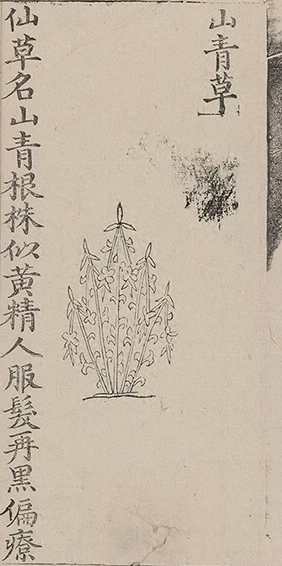 插图