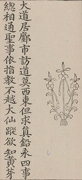 插图