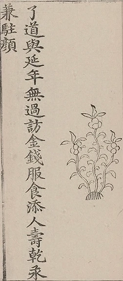 插图