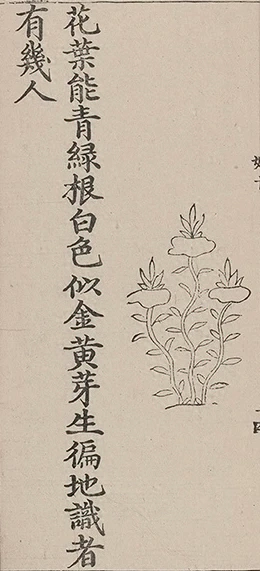 插图
