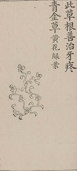 插图