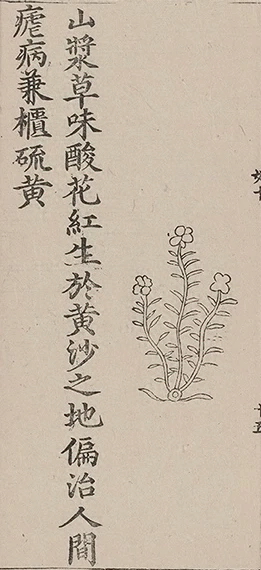 插图